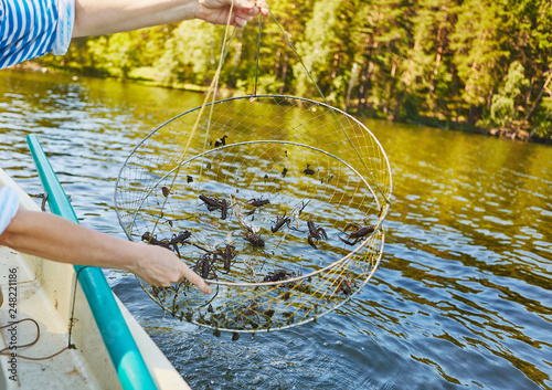 Process of cacthing  crawfish  and tackle in sweet water mountain lake photo