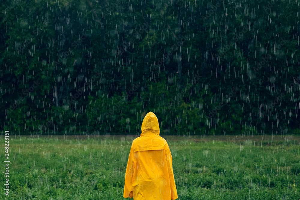 Girl in yellow raincoat standing in middle during rainfall in front of coniferous forest on rainy, foggy day. Travel lifestyle concept vacations outdoor. Child looks deep into at forest in distance Girl in yellow raincoat standing in middle during rainfall in front of coniferous forest on rainy, foggy day. Travel lifestyle concept vacations outdoor. Child looks deep into at forest in distance