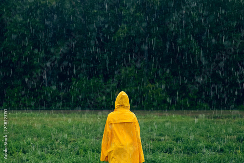 Girl in yellow raincoat standing in middle during rainfall in front of coniferous forest on rainy, foggy day. Travel lifestyle concept vacations outdoor. Child looks deep into at forest in distance