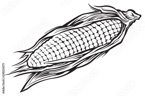 Corn on the cob