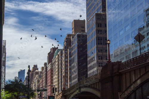 Canvas Print Birds over Park Avenue