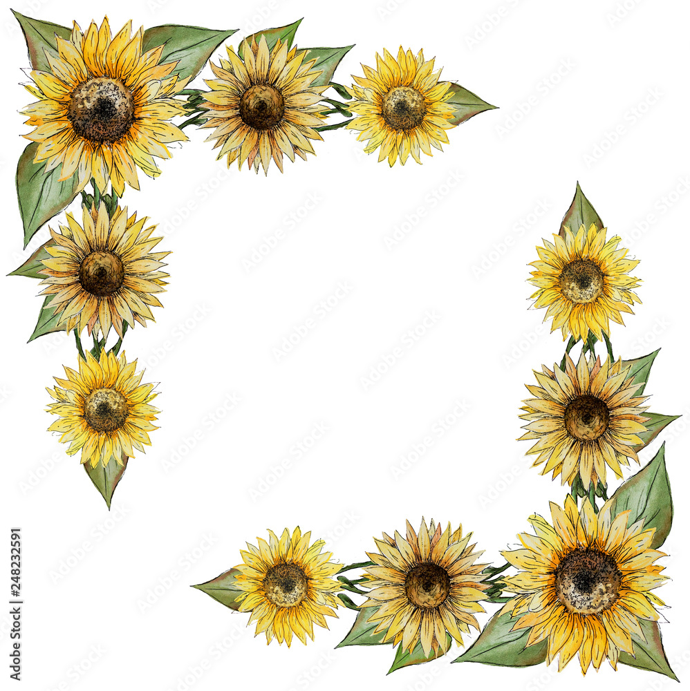 square wreath yellow frame corner of flowers of buds of leaves of stalks of a sunflower for invitation greeting postcard square wreath yellow frame corner of flowers of buds of leaves of stalks of a sunflower for invitation greeting postcard
