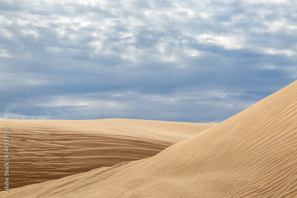 Rippled dunes in the Imperial Sand DUnes, California Rippled dunes in the Imperial Sand DUnes, California