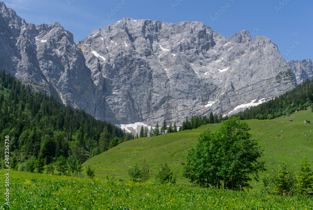 Picturesque alpine landscape in spring