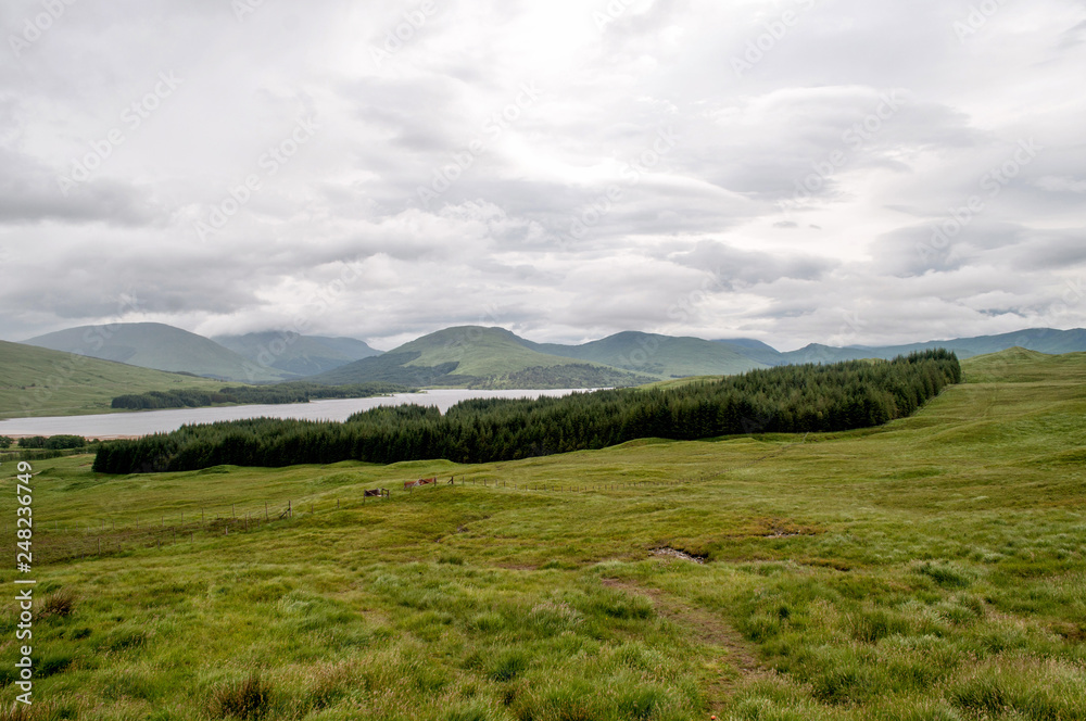 Slightly mountainous landscape full of lakes and marshes in Scotland Slightly mountainous landscape full of lakes and marshes in Scotland