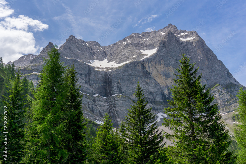 Majestic mountain with larch and pine in the foreground
