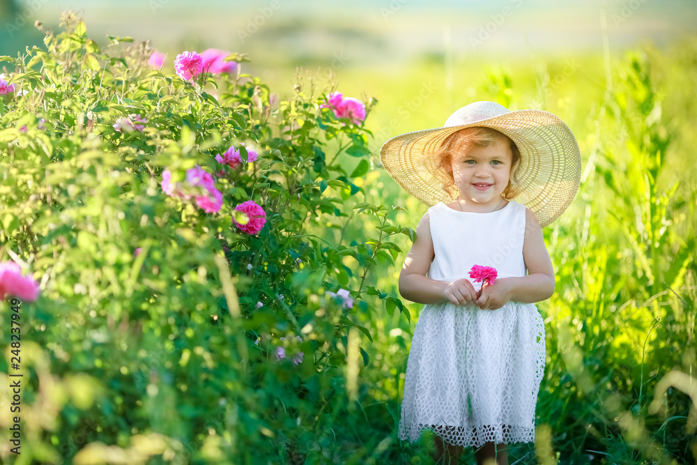 A little girl wearing flower yellow dress with white hat and stand in the yellow flower field of Sunn Hemp Crotalaria Juncea A little girl wearing flower yellow dress with white hat and stand in the yellow flower field of Sunn Hemp Crotalaria Juncea