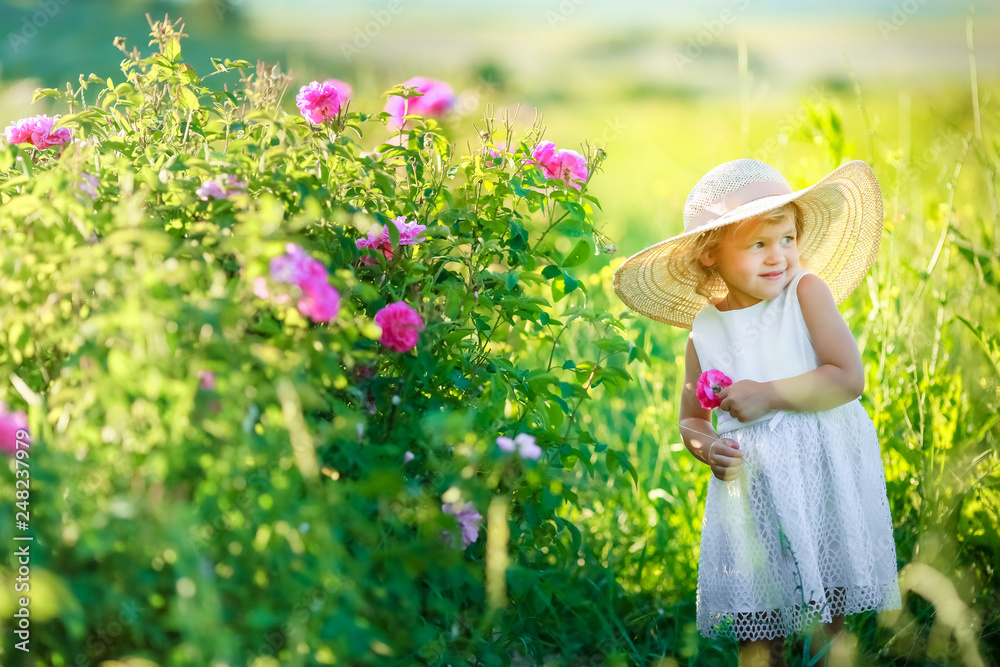 A little girl wearing flower yellow dress with white hat and stand in the yellow flower field of Sunn Hemp Crotalaria Juncea