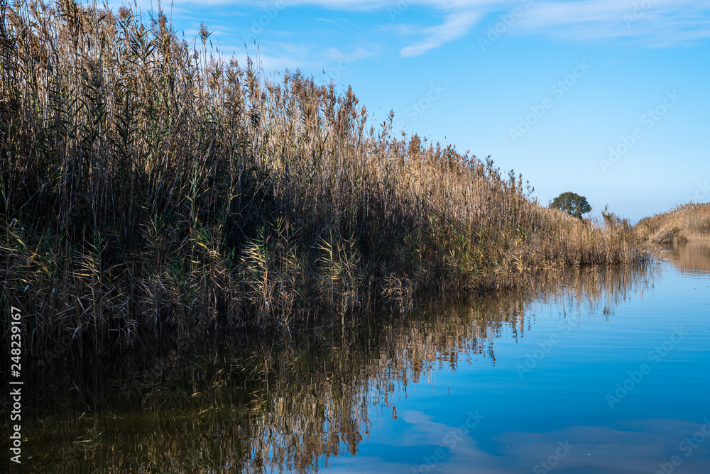 Albufera