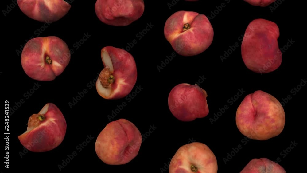 Realistic render of falling saturn peaches on black background. The video is seamlessly looping, and the objects are 3D scanned from real peaches.