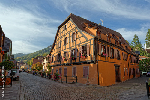 Ribeauvill    Haut-Rhin  Alsace  Grand Est  France