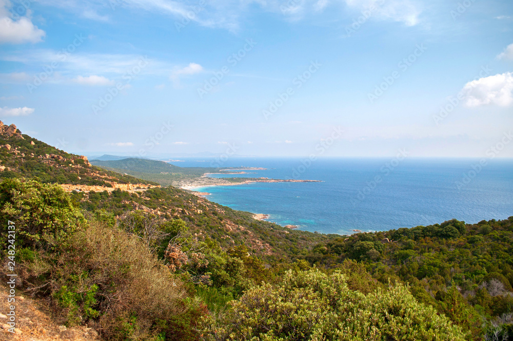 View of the wooded coast and sandy beaches with the clear blue sea on the island of Corsica