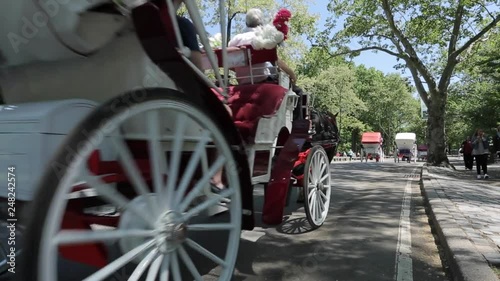 Central Park, Manhattan, New York City, New York, USA, North America 