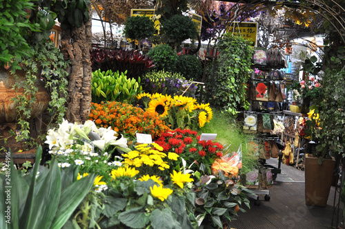 flowers in the park