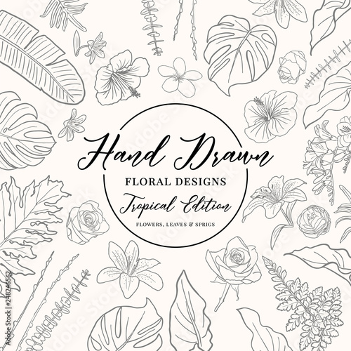 Hand Drawn Botanical Flower Illustrations