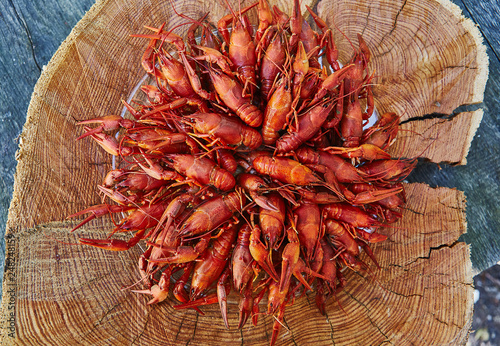 Crawfish cooked and served on wooden background photo