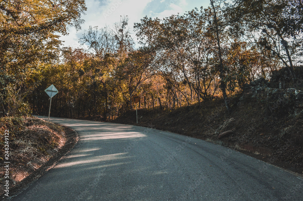 Fototapeta premium road in the mountains in autumn time