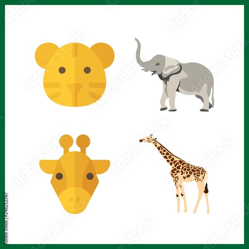 4 zoo icon. Vector illustration zoo set. tiger and giraffe icons for zoo works