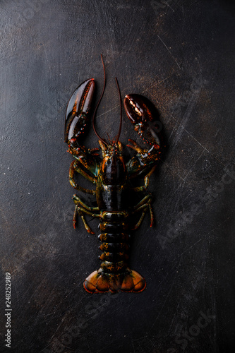 Overhead view of lobster