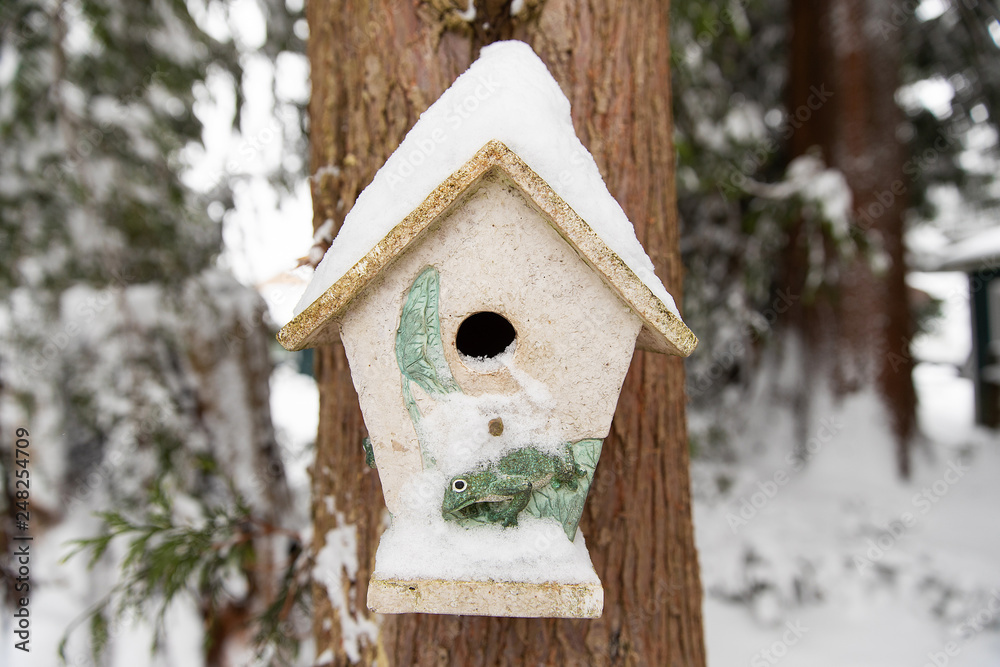 birdhouse covered in winter snow on a tree