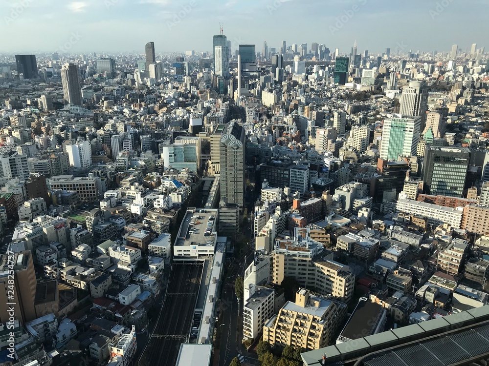 Obraz premium Tokyo View from a Skyscraper