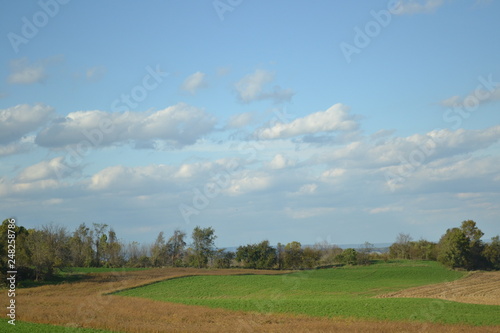 View of a cropped field at a bright sunny day with buildings on the background