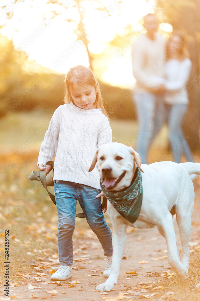 Fototapeta premium Happy family is having fun with dog labrador outdoors.