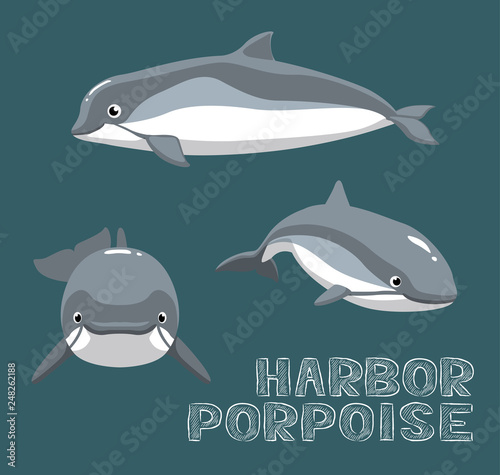Harbor Porpoise Cartoon Vector Illustration photo
