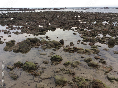 sea and rocks