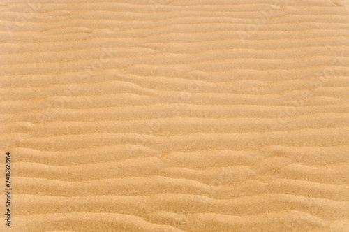 Golden sand texture and background 