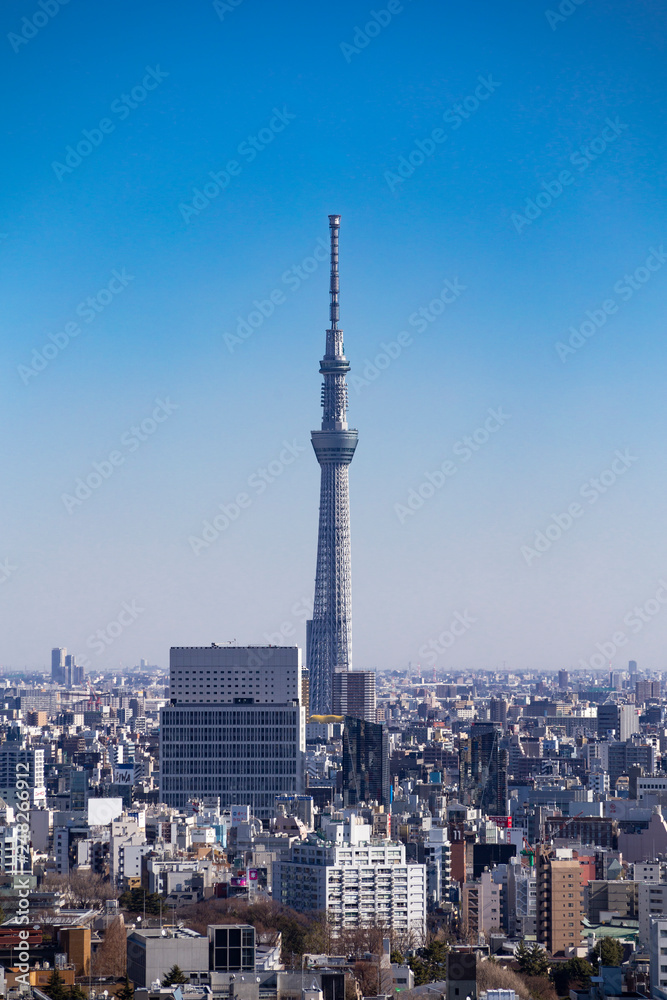 Fototapeta premium 東京スカイツリー