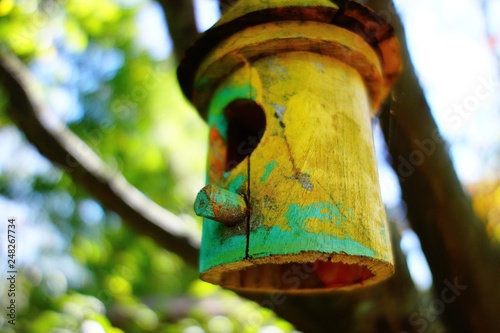 A brightly painted bamboo birdhouse in colors of green and yellow hangs from the branch of a leafy tree.