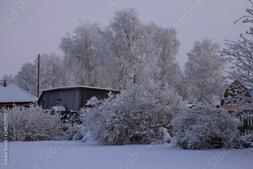 Winter fairy tale