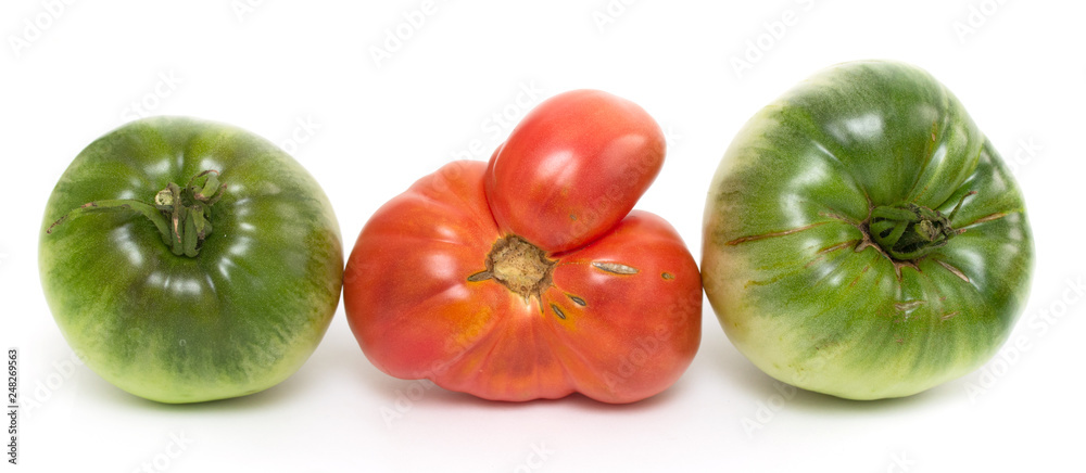 tomatoes isolated on white background