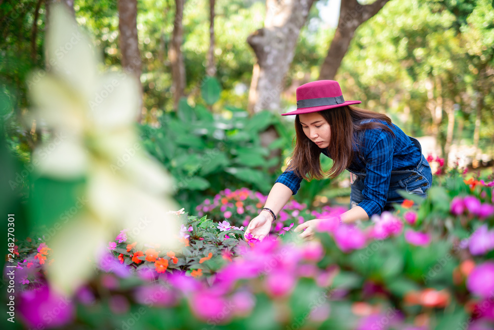 Young women and flower care in the garden that are blooming in the morning
