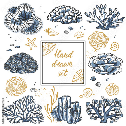 Design templates for photo frame, postcards, business cards, covers, banners, with illustrations of corals. Vector flyer with corals around the text and wavy lines for design. Deep sea background.