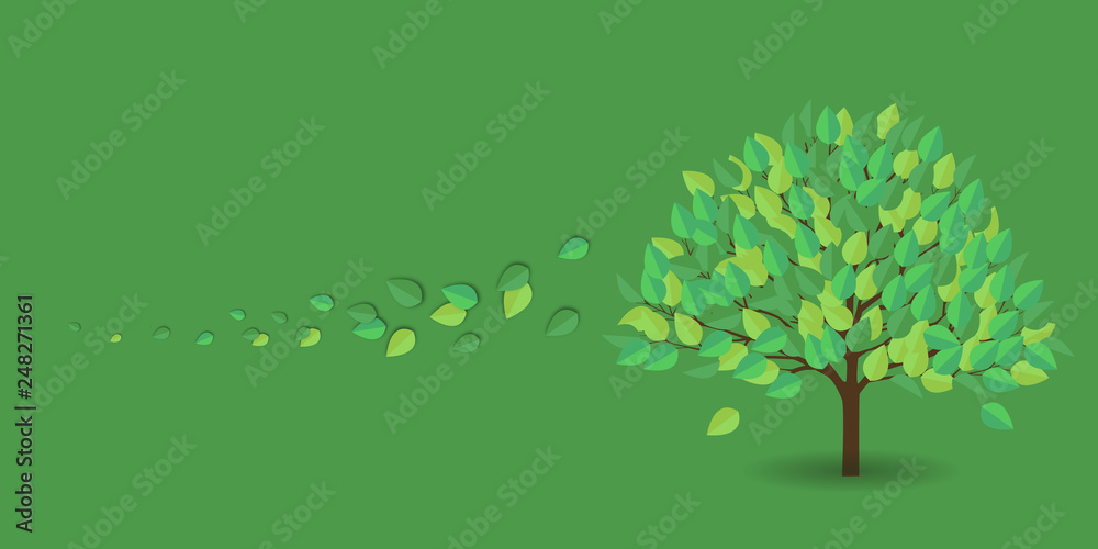 Obraz premium 新緑 葉 緑 背景 