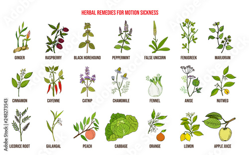 Best herbal remedies for motion sickness