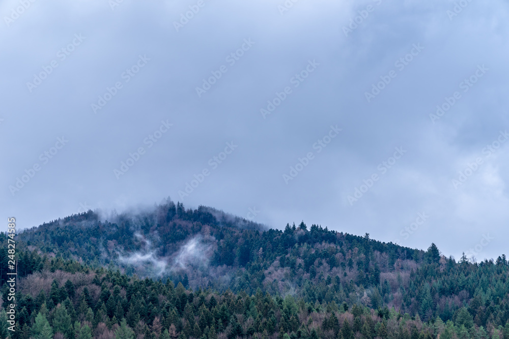 Germany, Black forest nature mountains in mouldy winter mood