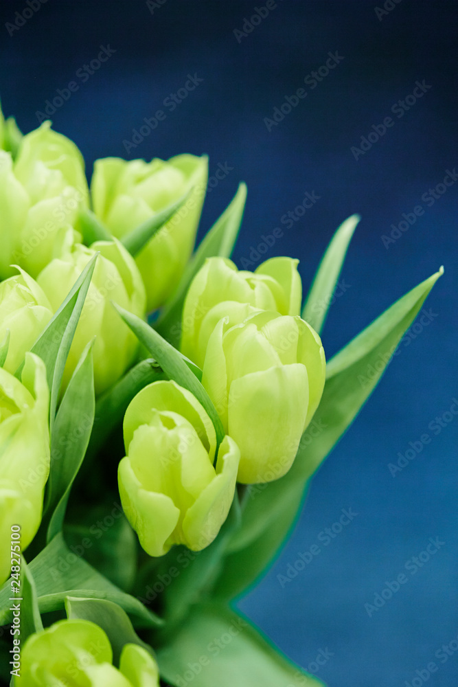 Naklejka premium bouquet of tulips