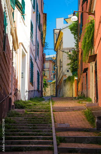 Stairway between multicolored buildings with colorful walls and green plants on narrow street in old quarter of historical centre of european city Genoa (Genova), Liguria, Italy