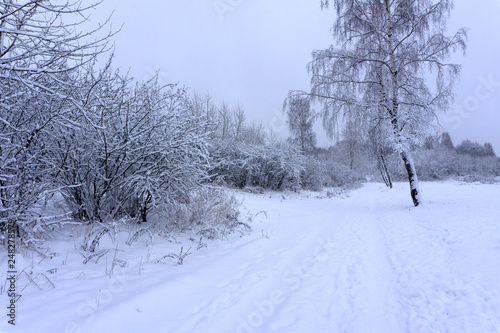 Russian winter freshness frosty icy nizhny novgorod © baon
