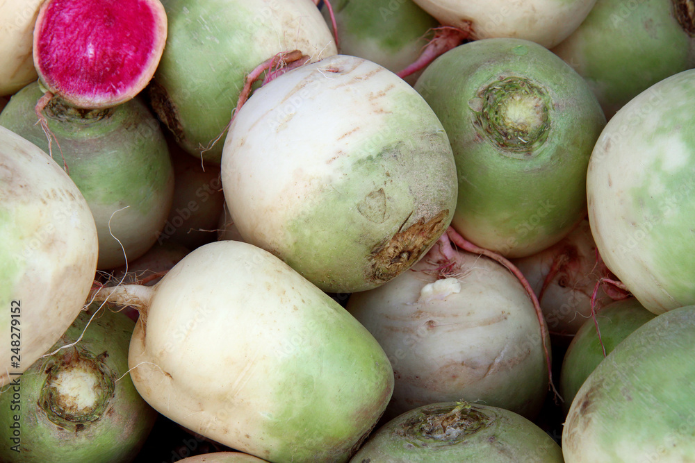 white watermelon radish for sale at a market white watermelon radish for sale at a market
