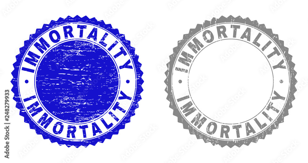 Grunge IMMORTALITY stamp seals isolated on a white background. Rosette seals with grunge texture in blue and gray colors. Vector rubber stamp imitation of IMMORTALITY text inside round rosette. Grunge IMMORTALITY stamp seals isolated on a white background. Rosette seals with grunge texture in blue and gray colors. Vector rubber stamp imitation of IMMORTALITY text inside round rosette.