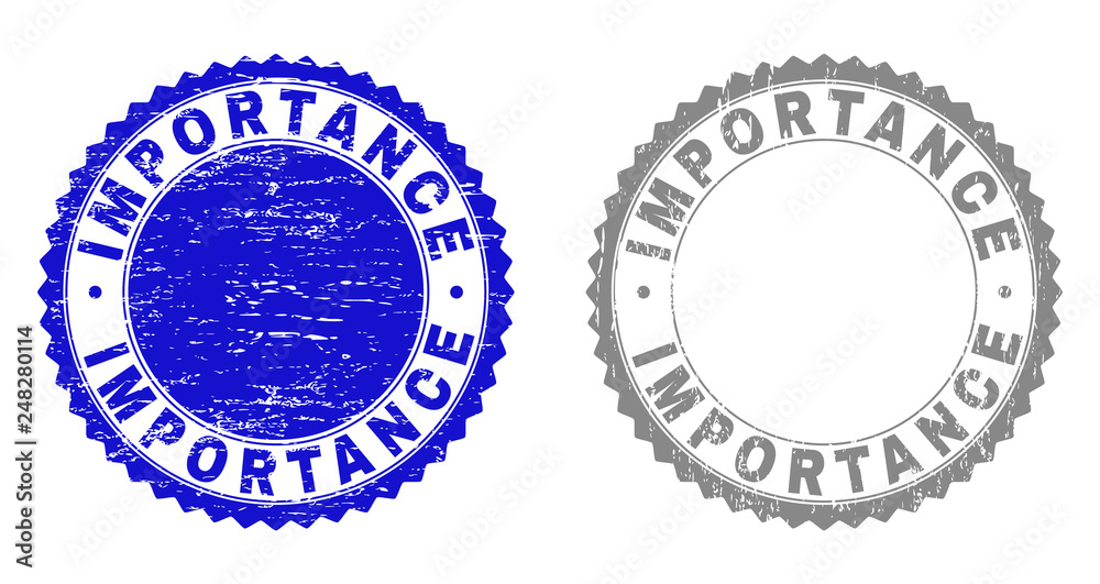 Grunge IMPORTANCE stamp seals isolated on a white background. Rosette seals with grunge texture in blue and grey colors. Vector rubber stamp imprint of IMPORTANCE text inside round rosette.