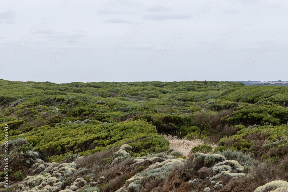 Green scenery with overcast sky. Green scenery with overcast sky.