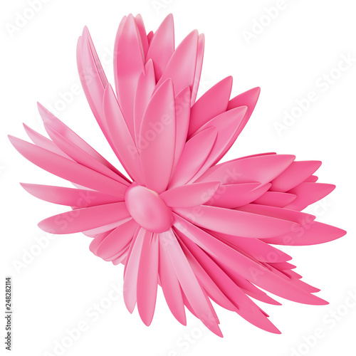 Light Pink Flower isolated on white background