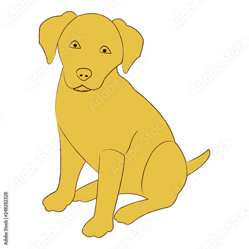 Cute sitting labrador retriever puppy vector illustration