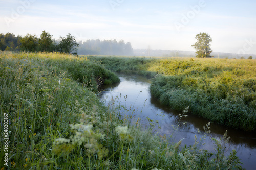 Early morning on the river. beautiful summer landscape with sun and fog