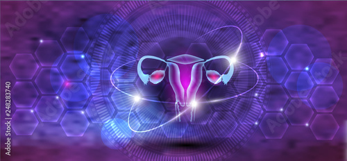 Fényképezés Female uterus and ovaries abstract scientific background